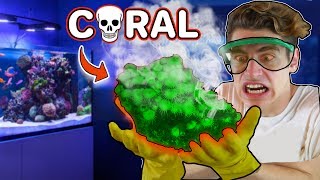 Finding TOXIC CORAL in MY FISH TANK 😵 ARE YOU IN DANGER 💀 [upl. by Sutsugua]