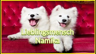 Namika  Lieblingsmensch 1 Stunde [upl. by Akeylah116]