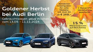 Goldener Herbst bei Audi Berlin  Audi Gebrauchtwagen plus Wochen [upl. by Braunstein641]