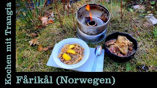 Draußen Kochen mit Trangia Fårikål Norwegen Eintopf One Pot Camping Rezept  Cooking Recipe [upl. by Mad]