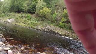 River Findhorn Salmon Scotland Fly Fishing [upl. by Margery]