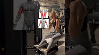 How To Rudern gym gymtipps krafttraining krafttrainingfuerfrauen oberkörpertraining [upl. by Rafter]