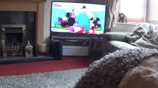 Watching Mickey Mouse [upl. by Hunley630]