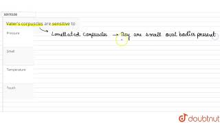 Vater\s corpuscles are sensitive to [upl. by Demeter]