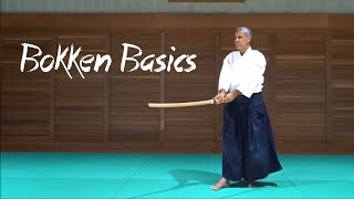 Introduction to Chiba Senseis Weapons System  Bokken Basics [upl. by Raychel]