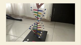 Membuat Model DNA [upl. by Ahsemaj]