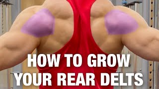 How to Grow Your Rear Delts 5 BEST EXERCISES shorts [upl. by Gies]