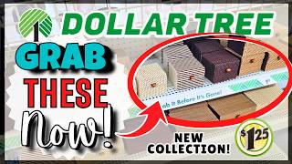 DOLLAR TREE Finds You NEED to HAUL Now NEW FALL 2024 IMPRESSIVE Arrivals You Must Have Halloween [upl. by Hurwit]