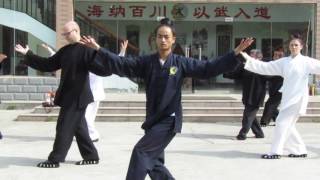 Wudang Tai Chi 13 Principles in Wudang 2016 [upl. by Danna]