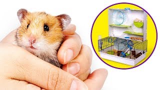 Eine Menge Spaß für deinen Hamster Entpacke die Critterville Arcade Hamster Heimat [upl. by Cole835]