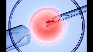 How works In vitro fertilization shorts [upl. by Prowel]