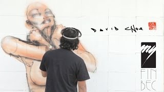 David Choe Interview  myFinBec 2013 Graffiti Art amp Wine Documentary [upl. by Lauryn286]