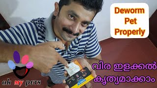 Dog deworming tipsഡോഗ്സിന്റെ വിരയിളക്കൽ എളുപ്പമാക്കാം [upl. by Vyner]