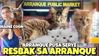 ANG PAGBABALIK SA ARRANQUE PET MARKET  PUSA SERYE  JUNE 27 2024 [upl. by Nylicaj]