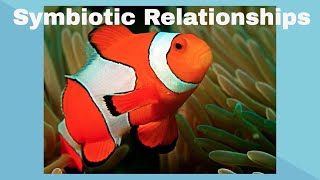 Examples of Symbiotic Relationships [upl. by Anialam]