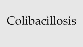 How to Pronounce Colibacillosis [upl. by Ferdy]