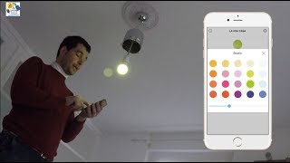 Echo Plus con Lampadine Ikea e Philips Hue [upl. by Reprah528]