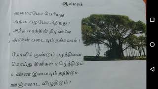 aalamaram song ukg Tamil rhymes ஆலமரம் பாட்டு [upl. by Helfand]