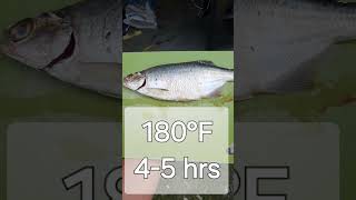 Smoked fish fish fishing hunting homesteading homemade food pitbossgrills smoker [upl. by Ennaimaj]