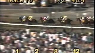 118th Preakness  May 15 1993 [upl. by Sigfried]