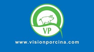 Actualidad del sistema Danés manejo de la hembra hiperprolífica [upl. by Yenar]