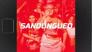 SANDUNGUEO  INSTRUMENTAL DE DEMBOW TYPE BEAT PAPI SAOCO X RICHII 2024 [upl. by Horn]