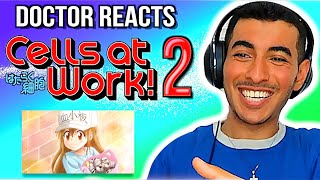 Real Doctor Reacts to CELLS AT WORK Reaction amp Review  Ep2 quotScrape Woundquot  Hataraku Saibou [upl. by Niowtna]