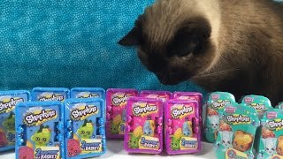 Shopkins Season 1 2 amp 3 2 Pack Basket Unboxing Opening Blind Bag Fun [upl. by Wardieu]