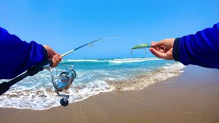 COMO saber DONDE PESCAR en PLAYA  pesca de orilla  pesca de róbalos  tips de pesca [upl. by Intyrb37]