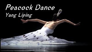 Yang Liping  The Soul of Peacock  Peacock Dance  Traditional Dance  HD 杨丽萍《雀之灵》完整版 高清 孔雀舞 傣族舞 [upl. by Stanton260]