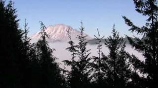 30 Years Later Mount St Helens Continues to Recover [upl. by Vilhelmina426]