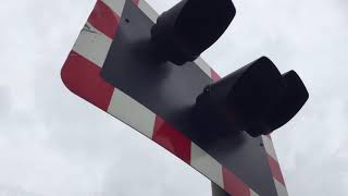 Intro to Graveney AHB Level Crossing Kent Saturday 07102017 [upl. by Yerroc596]