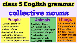 collective nouns collective nouns class 5 collective nouns class 4nouns kids videos [upl. by Safoelc]