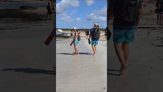 🏖 Encontramos  Playa Paradisíaca en Mallorca 🇪🇸❤ beach playamallorca travel short [upl. by Alhsa]