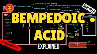 BEMPEDOIC ACID Mechanism of action Pharmacology of Lipid lowering drugs [upl. by Grishilde]