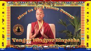 How to find Inner Peace by Yongey Mingyur Rinpoche [upl. by Rolf5]