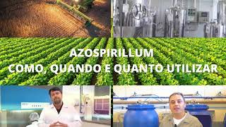 Azospirillum como quando e quanto utilizar I Bioinsumos Brasil [upl. by Ermey]