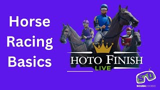 Learn the Basics of Racing with Photo Finish LIVE [upl. by Langbehn344]