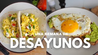 5 Recetas de Desayunos Saludables y Deliciosos que debes probar [upl. by Trutko]