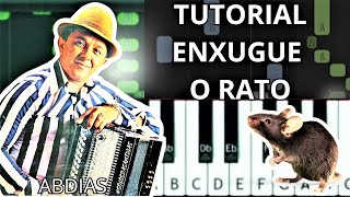 Tutorial Forró Enxugue o rato  Abdias [upl. by Bauer]