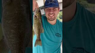 Smallmouth Bass Caught Using A Leech As Bait shorts [upl. by Aivatra181]