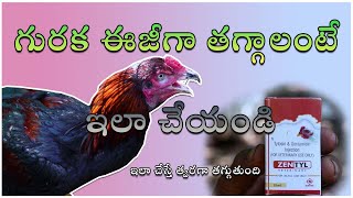 గురక ఈజీగా తగ్గాలంటేఇలా చేయండి  Treatment for respiratory Issues in chicken [upl. by Nanaj]