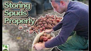 Storing Potatoes Long Term  Save Your Potato Harvest [upl. by Lever393]