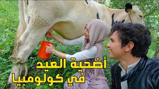 مشينا نقلبو على أضحية العيد لقينا خروف و بقرة بثمن خيالي [upl. by Chatav707]