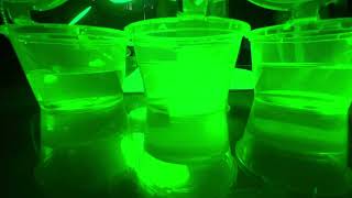 Experiment 5 Floating disks assay T1 under UV light Group 8 [upl. by Appolonia]