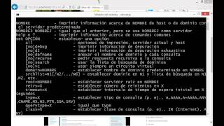NSLOOKUP  Comprobar registros DNS [upl. by Anazraf468]