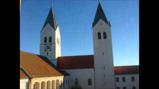 Freising Dom St Maria und Korbinian altes Plenum [upl. by Coffin170]