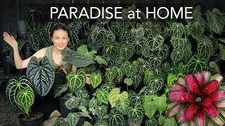 RESORT GARDEN 🌴 at HOME  DIY TROPICAL COSY BACKYARD with 8 EASY Garden Design Tips [upl. by Vachill390]