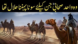 Story Of Saraqa Ibn Malik amp Bracelets Of Kisra  Saraqa Bin Malik Kon Tha  Sabri Mian Official [upl. by Lesirg300]