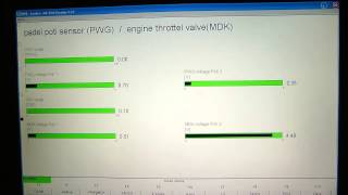 Inpa BMW 530i E39 All Functions Explained [upl. by Ardnohs450]